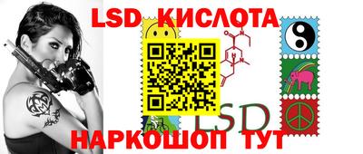 прущие грибы Новодвинск