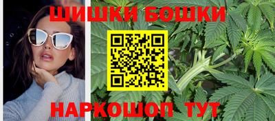 прущие грибы Новодвинск