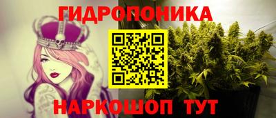 прущие грибы Новодвинск