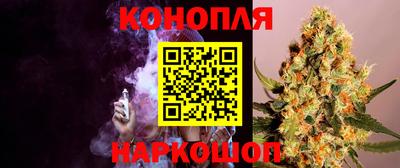 прущие грибы Новодвинск