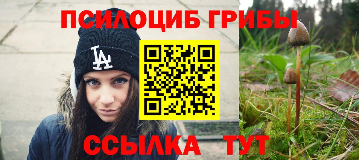 Галлюциногенные грибы ЛСД Сыктывкар