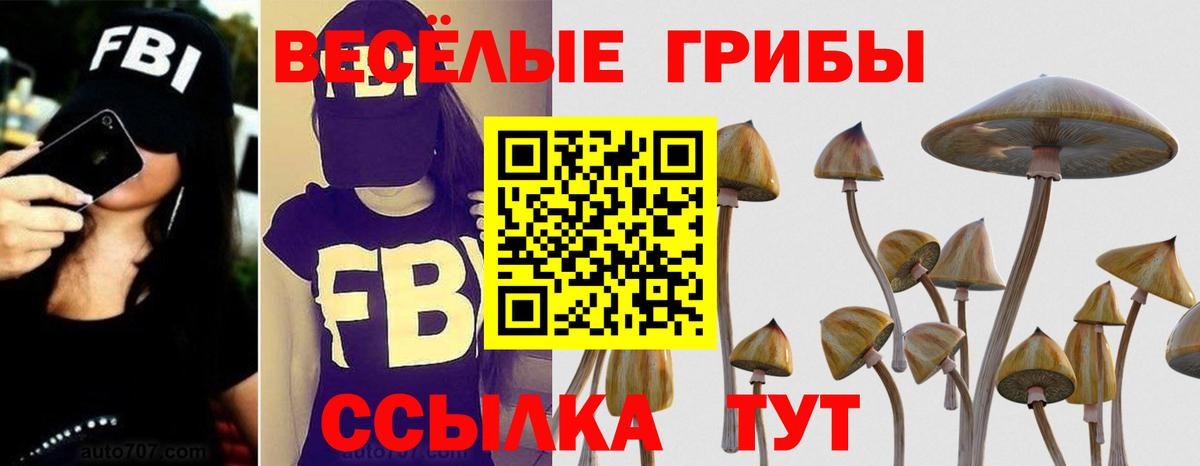 Галлюциногенные грибы ЛСД  Вход с VPN  купить наркоту  Сыктывкар 